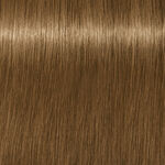 Schwarzkopf Professional Igora Royal Absolutes Permanent Haarkleuring 60ml 8-140