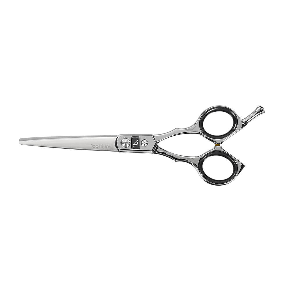 Barnum Ciseaux Professionnels 6,0"