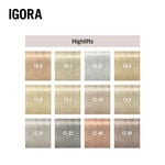 Schwarzkopf Professional Igora Royal High Lift 60ml 12-49