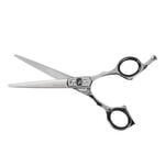 Barnum Ciseaux Professionnels 6,0"