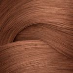 Redken Shades EQ Bonder Inside Demi-permanente haarkleuring - 06NB Brandy 60ml