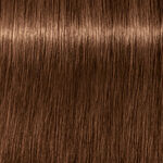Schwarzkopf Professional Igora Royal Absolutes Permanent Haarkleuring 60ml 7-60