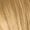 9.5-5 Gold Toner