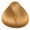 Ambre