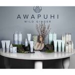 Paul Mitchell Awapuhi Hydromist Haarföhnspray 150ml