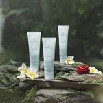 Paul Mitchell Awapuhi Cream Rinse 250ml