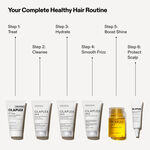 Olaplex The Healthy Hair Discovery Set V2