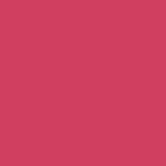 Andreia Professional Perfect Definition - Lipliner 01 Stoffig Roze