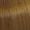8/73 Licht Blond Bruin Goud
