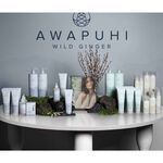 Paul Mitchell Awapuhi Styling Traitement Huile 100ml