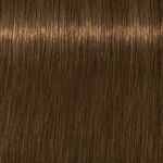 Schwarzkopf Professional Igora Royal Absolutes Coloration permanente 60ml 7-140 Blond Moyen Cendré Beige Naturel