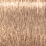 Schwarzkopf Professional Igora Royal Highlifts Coloration Permanente 60ml 12-49