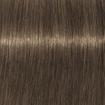 Schwarzkopf Professional Igora Royal Muted Deserts Coloration Permanente 7-42 60 ml