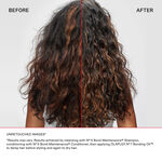 Olaplex The Healthy Hair Discovery Set V2