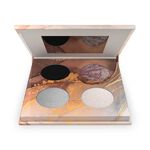 Andreia Professional Hot Ice - Oogschaduwpalet 02 Ice 4x1g