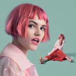 Schwarzkopf Professional Chroma ID Color Mask Pink 300ml