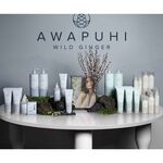 Paul Mitchell Awapuhi Traitement intensif 500ml