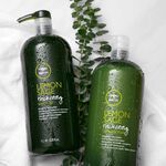 Paul Mitchell Shampooing Tea Tree Citron et Sauge 300ml