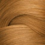 Redken Shades EQ Bonder Inside Demi-permanente haarkleuring - 07NB Chestnut 60ml