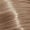 9.13 Very Light Blonde Ash Gold