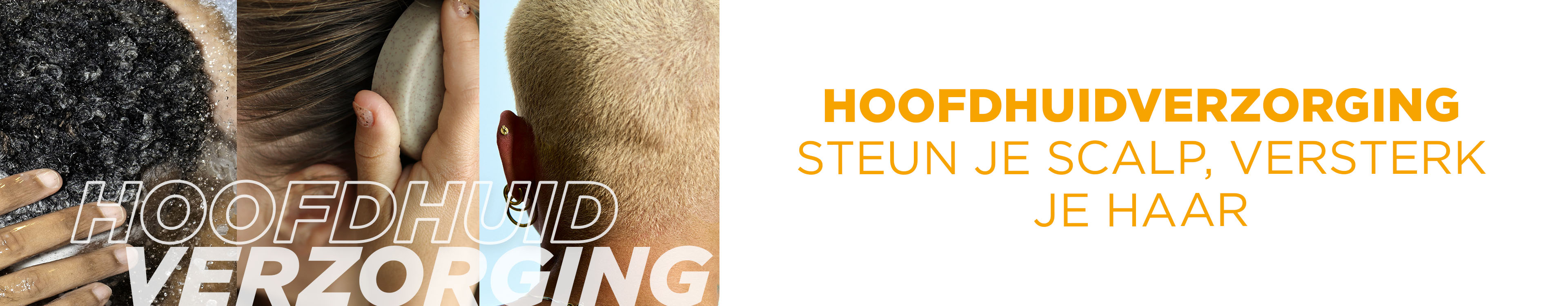 Hoofdhuidverzorging Hoofdhuidverzorging
