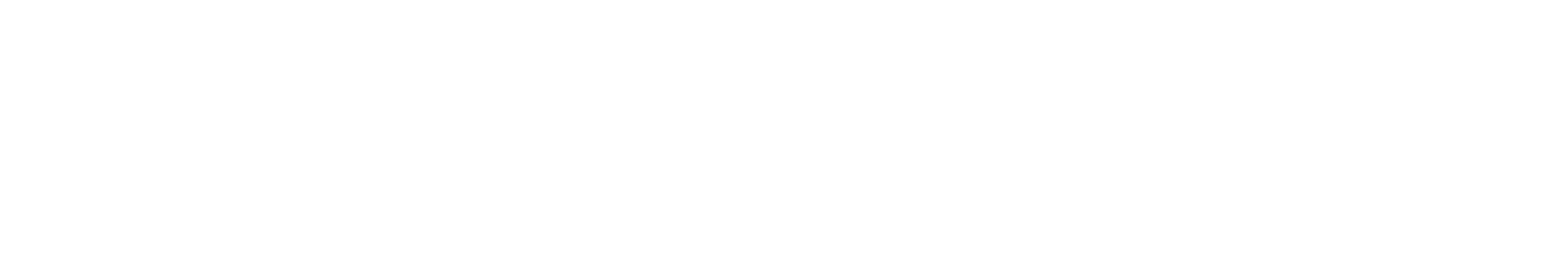 Pro Duo Prestige